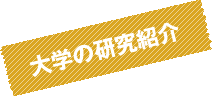 大学の研究紹介